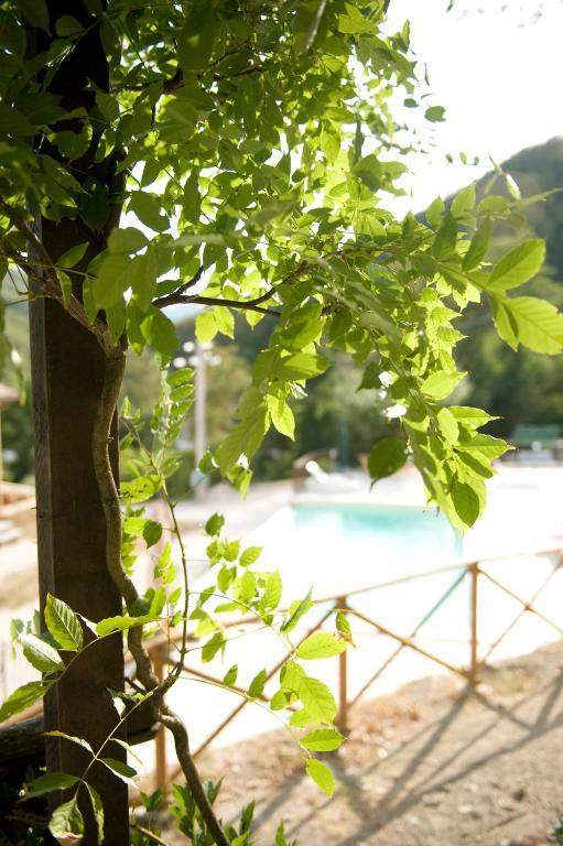 Maison d'hôtes Agriturismo Ca' Montioni à Mercatello sul Metauro Chambre photo